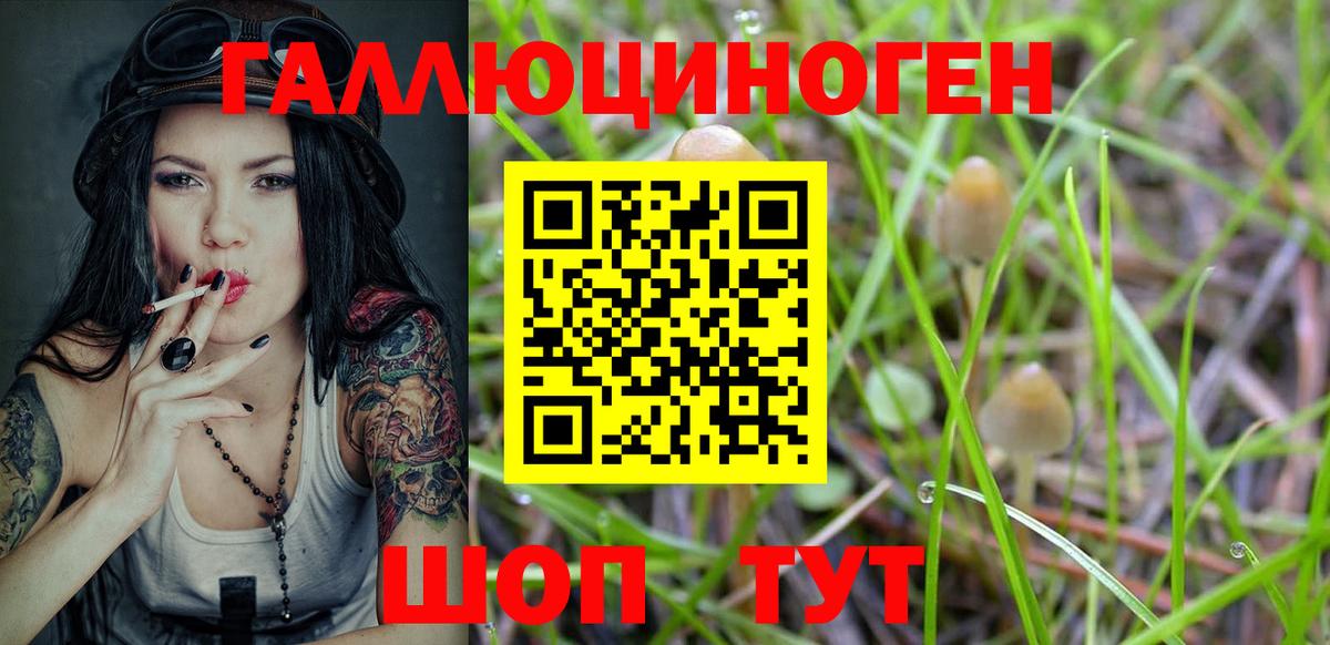 Псилоцибиновые грибы MAGIC MUSHROOMS Людиново